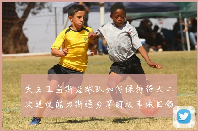 失去亚当斯后球队如何保持强大二次进攻能力斯通分享前板率依旧领先的秘诀