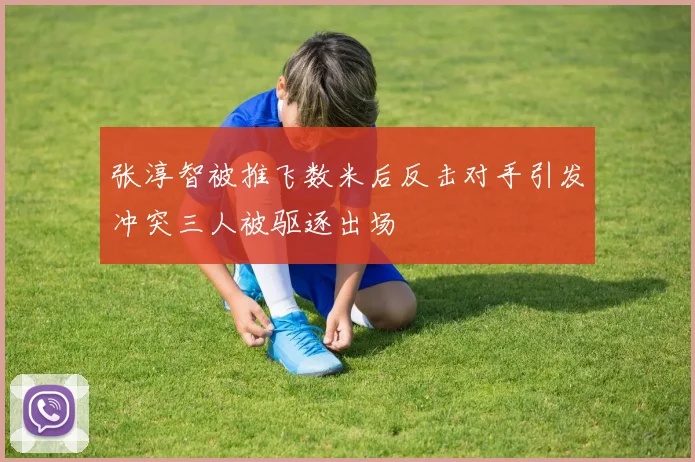 张淳智被推飞数米后反击对手引发冲突三人被驱逐出场
